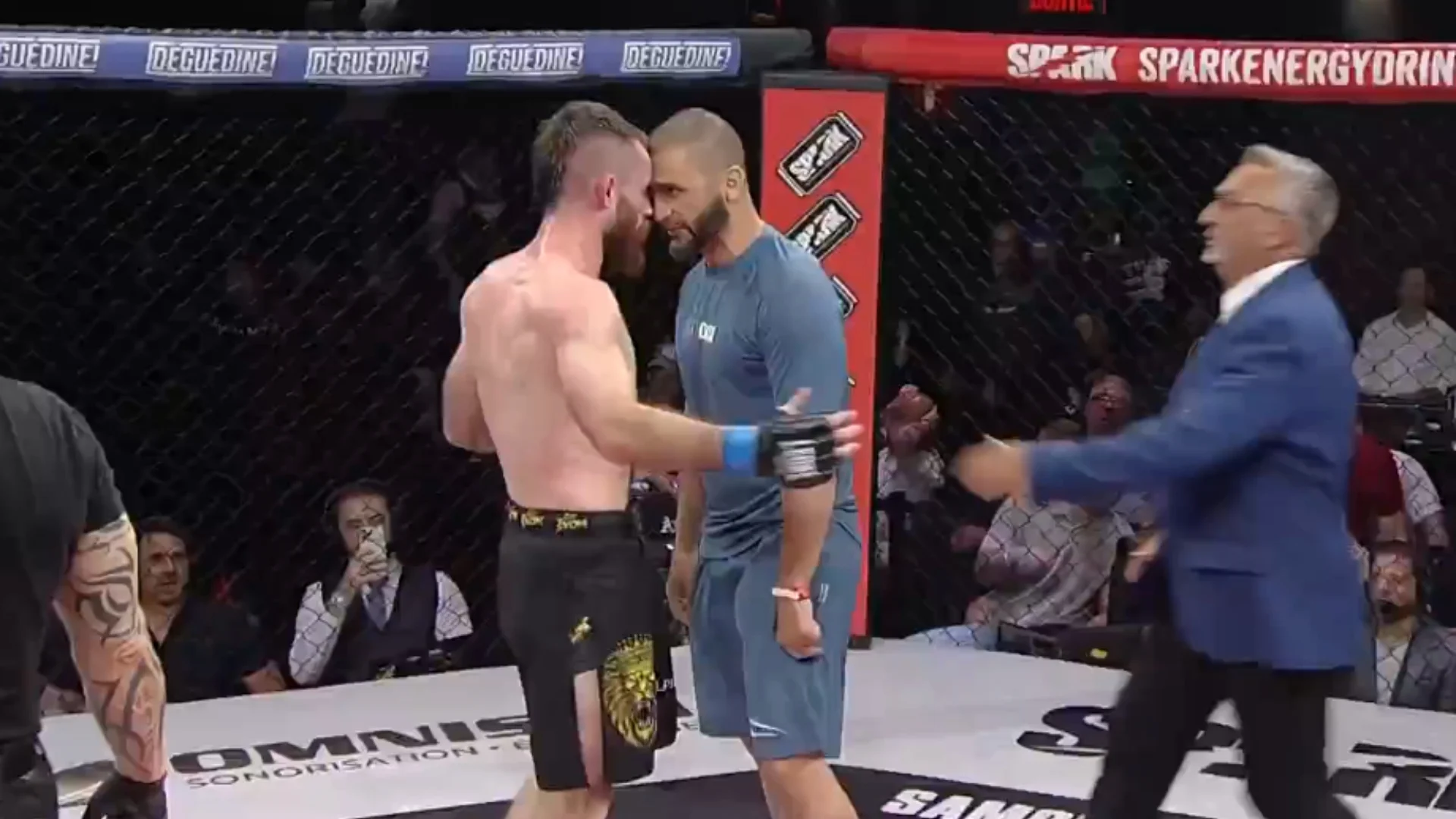 Estrela do UFC e Treinador Lendário de Georges St-Pierre Invadem Octógono em Confusão Após Luta de MMA Regional