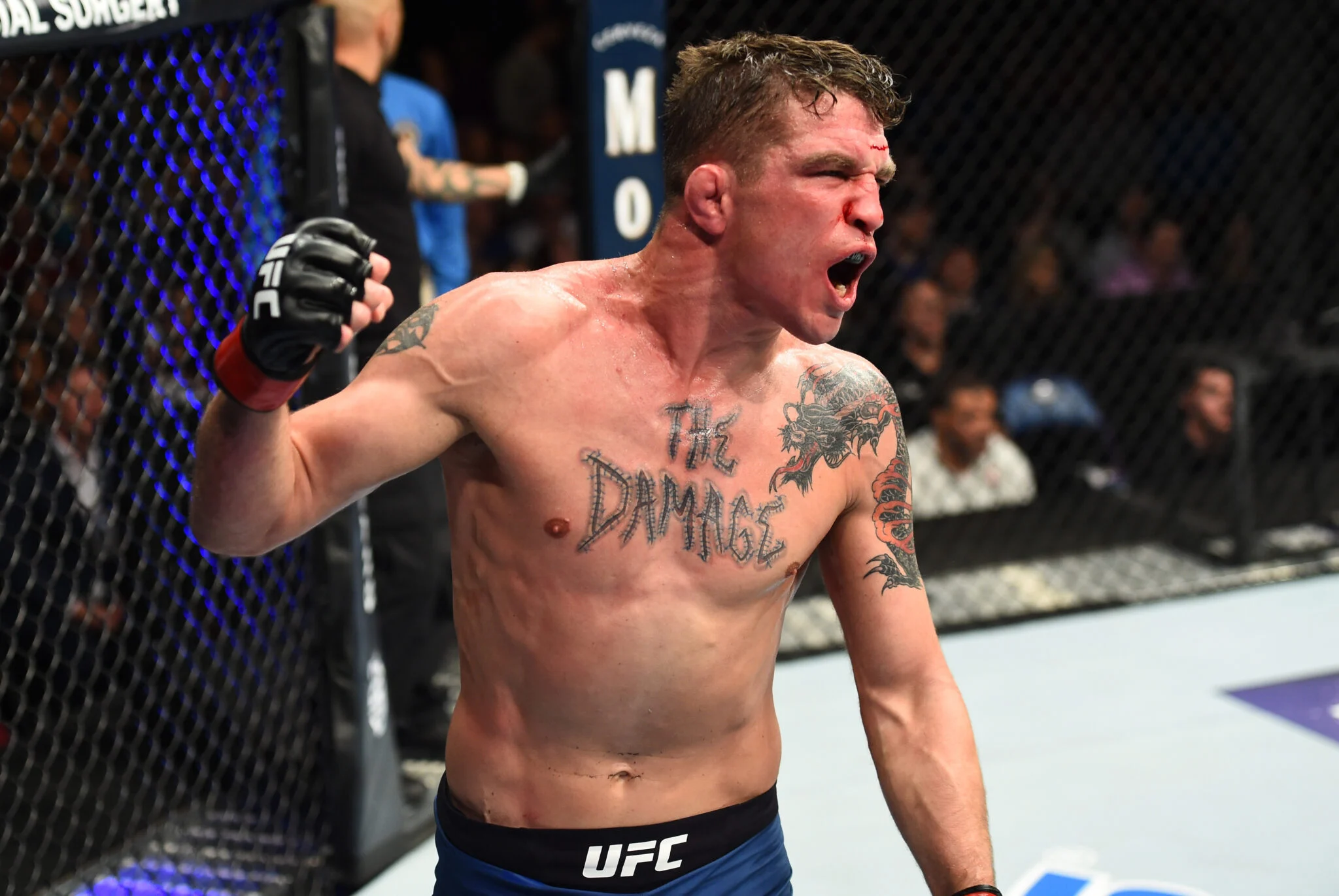 Darren Elkins: Aos 42 Anos, Veterano da UFC com 30 Lutas Explica Decisão de se Aposentar no UFC Vegas 120 Após Longa Carreira no Octógono