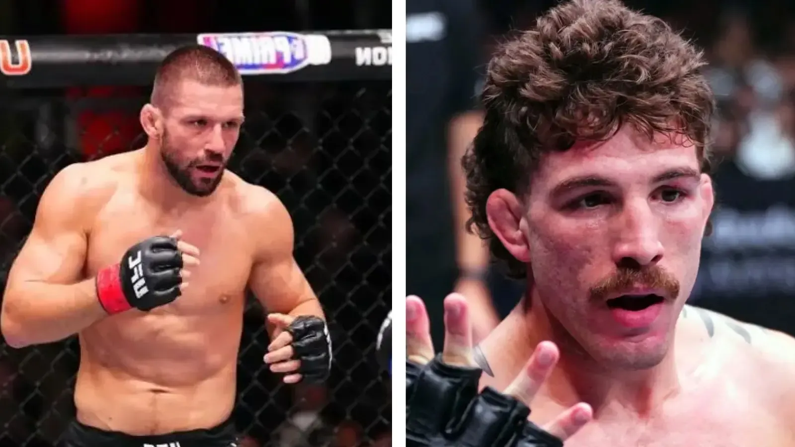 UFC Vegas 120: Palpites SUPER LUTAS para Gamrot x Salkilld e Destaques Brasileiros em Las Vegas