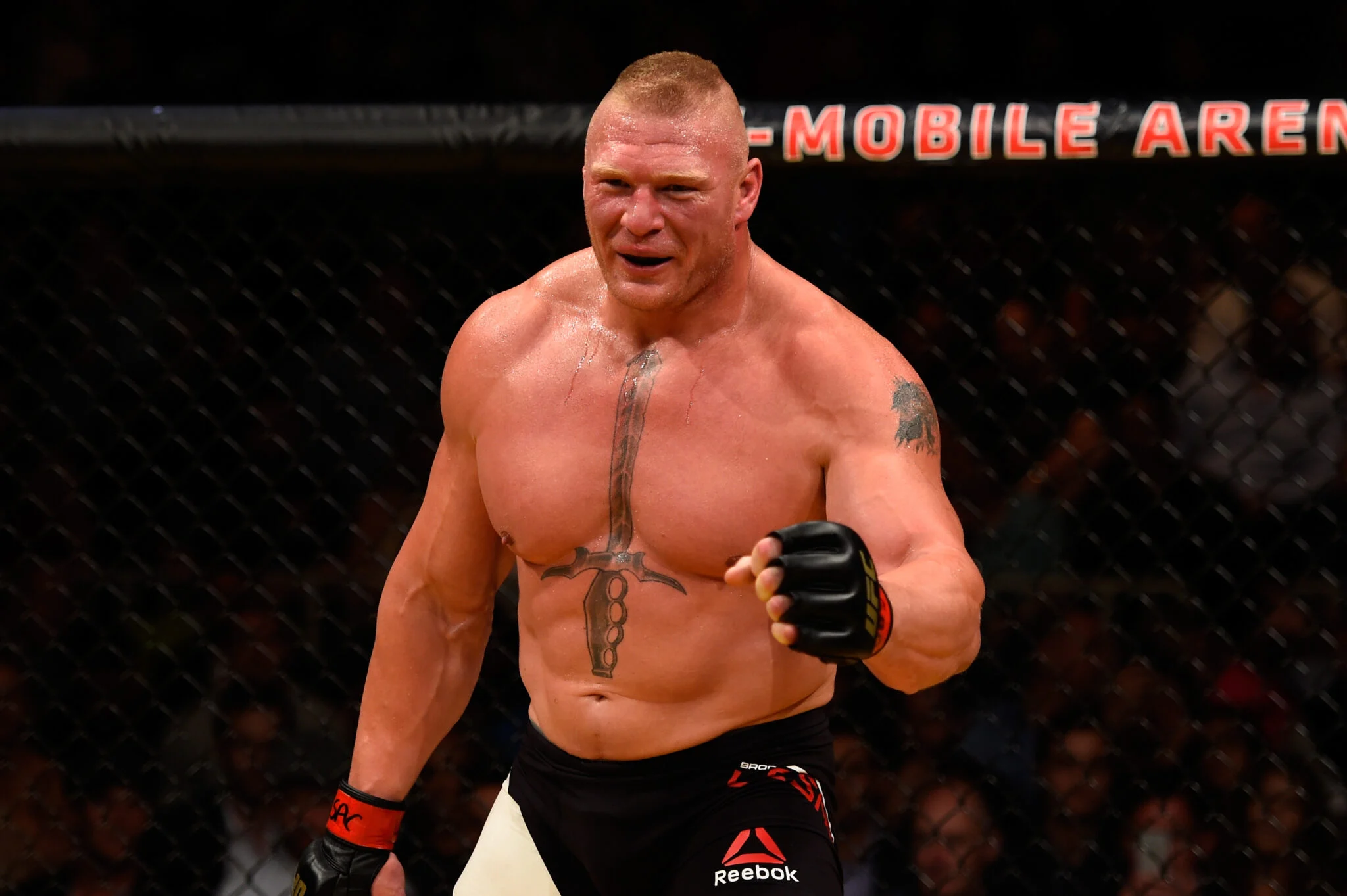Mensagem Inesperada: Antigo Rival do UFC Surpreende Brock Lesnar Após Confirmação de Aposentadoria na WWE