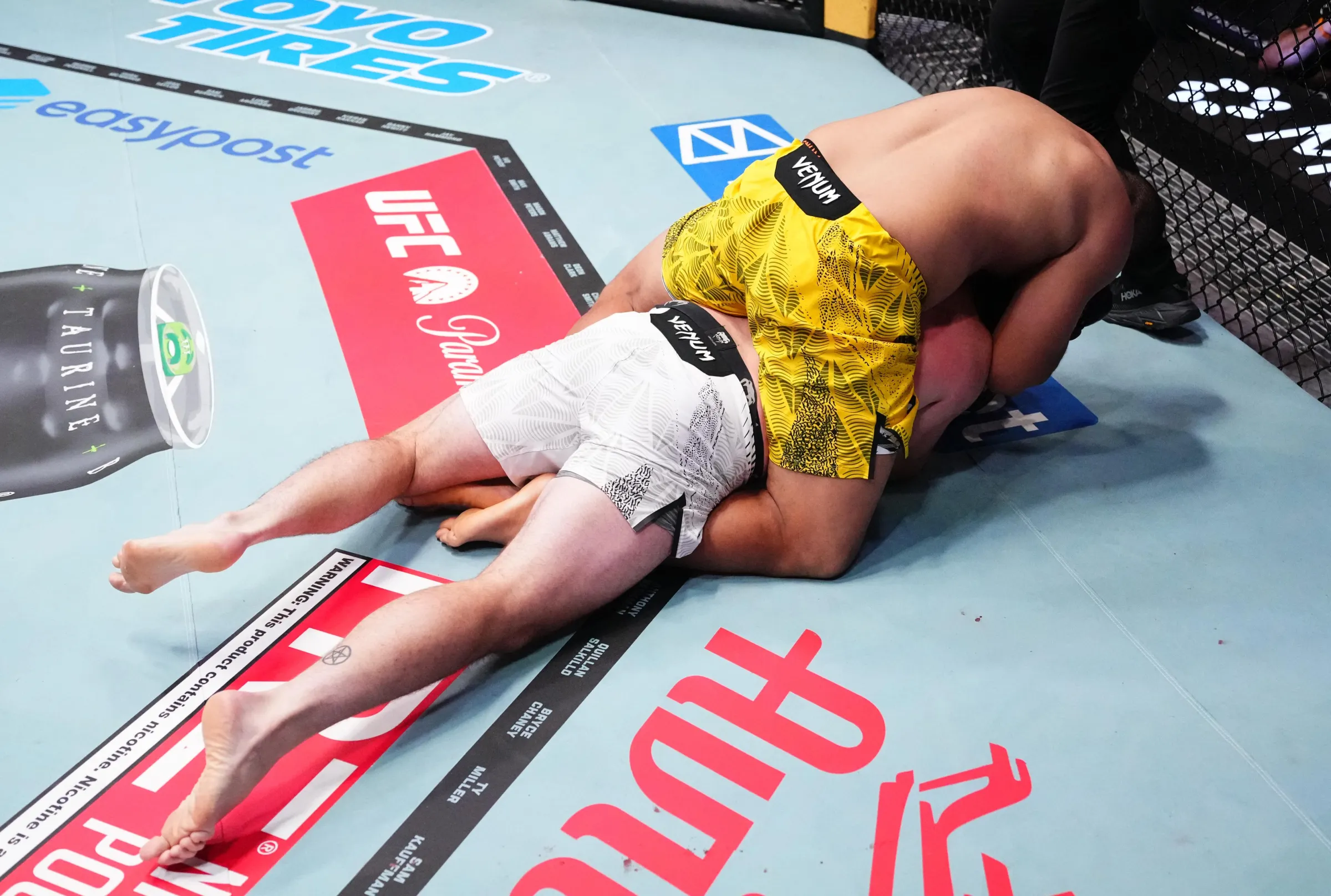 UFC Vegas 120: Estreantes no Octógono Recebem Notas e Revelam Futuras Estrelas do MMA