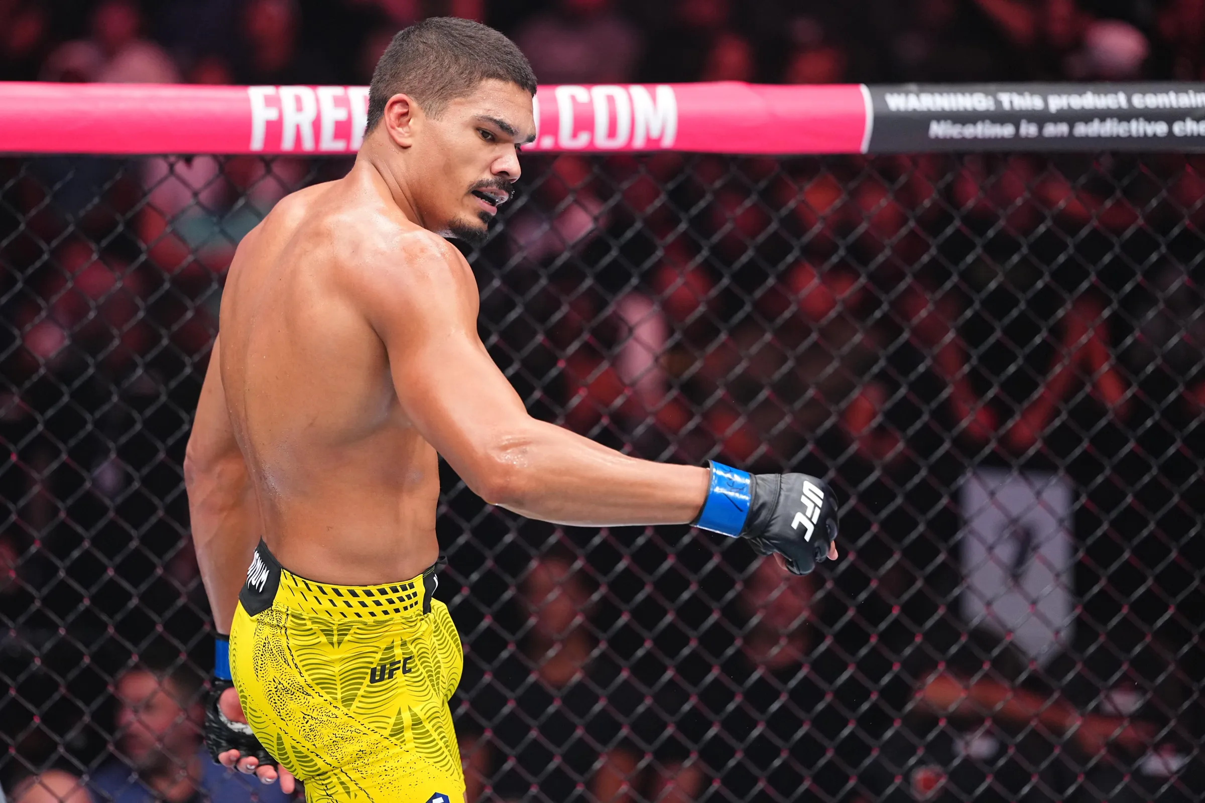 UFC 330: Análise Detalhada dos Estreantes Brasileiros no Octógono e Suas Perspectivas Futuras