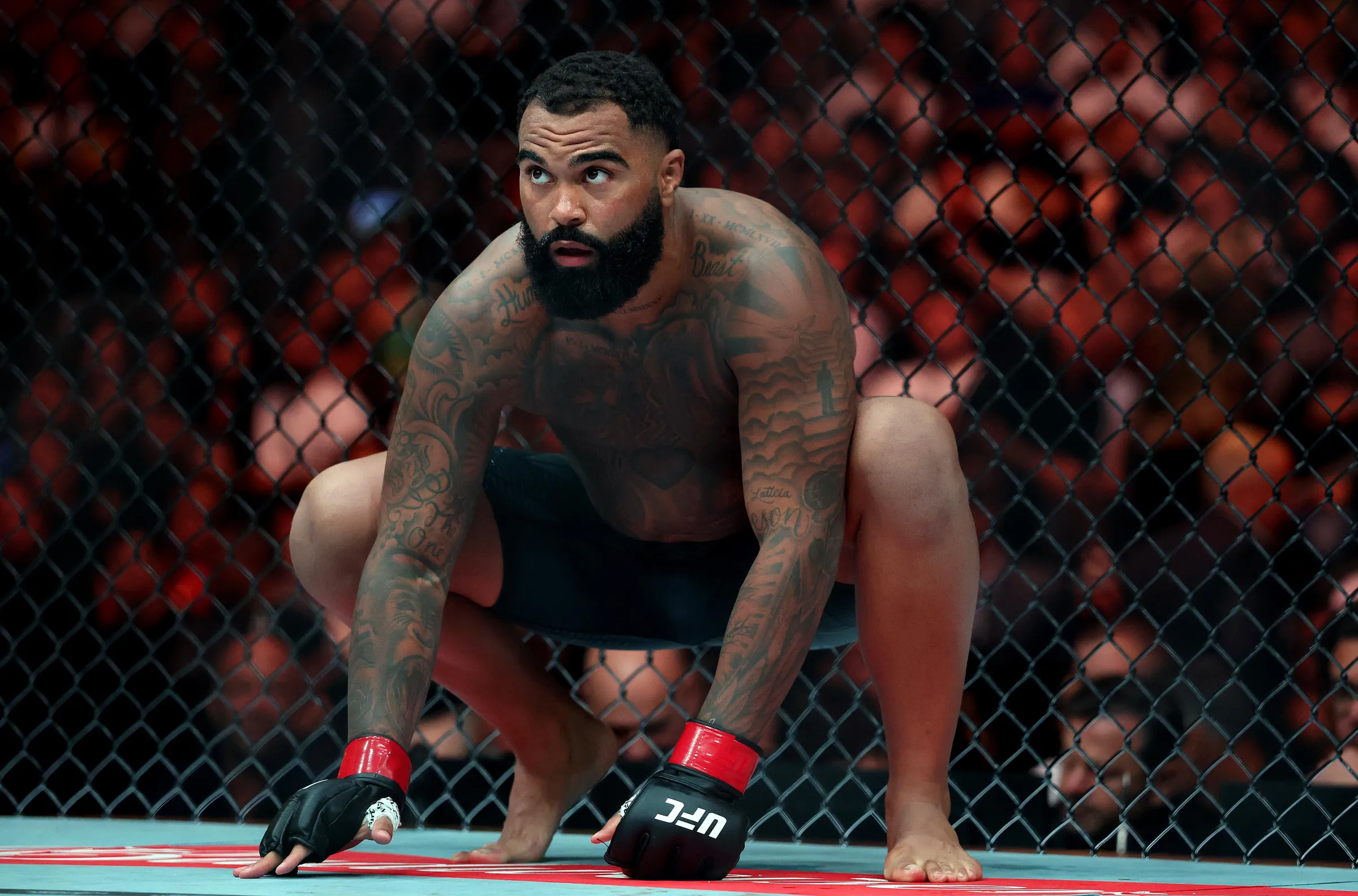 Após Nocaute Relâmpago no UFC 331, Empresário de Gable Steveson Manda Mensagem de Apoio e Previsão Ousada: ‘Ele Será Grande’